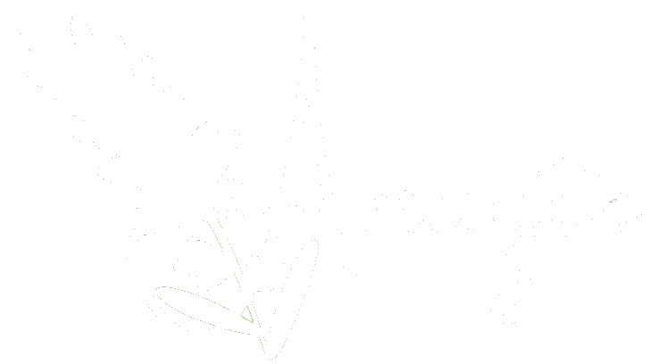 Logo de Amayte Jabones Artesanales en Uruguay